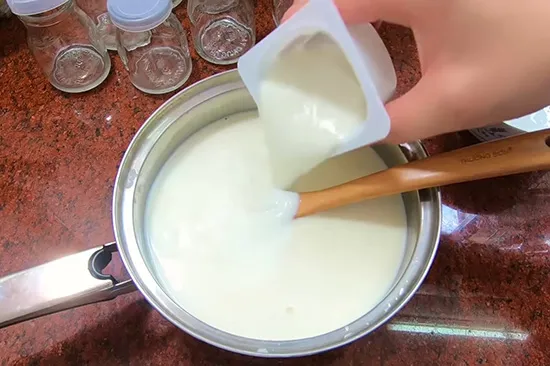 Bật Mí Cách Làm Sữa Chua Sầu Riêng (Durian Yogurt) Thơm Ngon